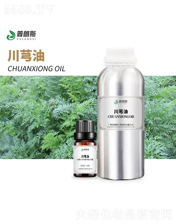 ����˹��ܺ��