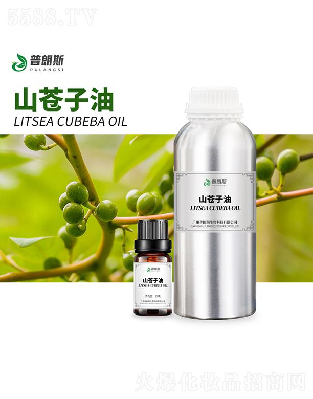 ����˹ɽ�}(c��ng)����