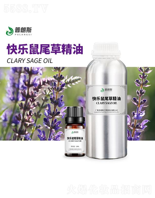 ����˹�옷��β�ݾ���