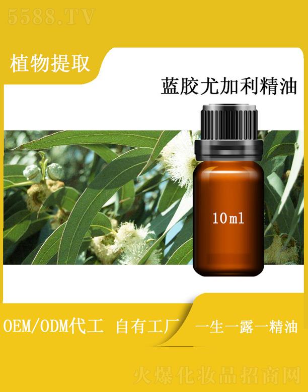 �h���{(l��n)�z�ȼ������� 10ml
