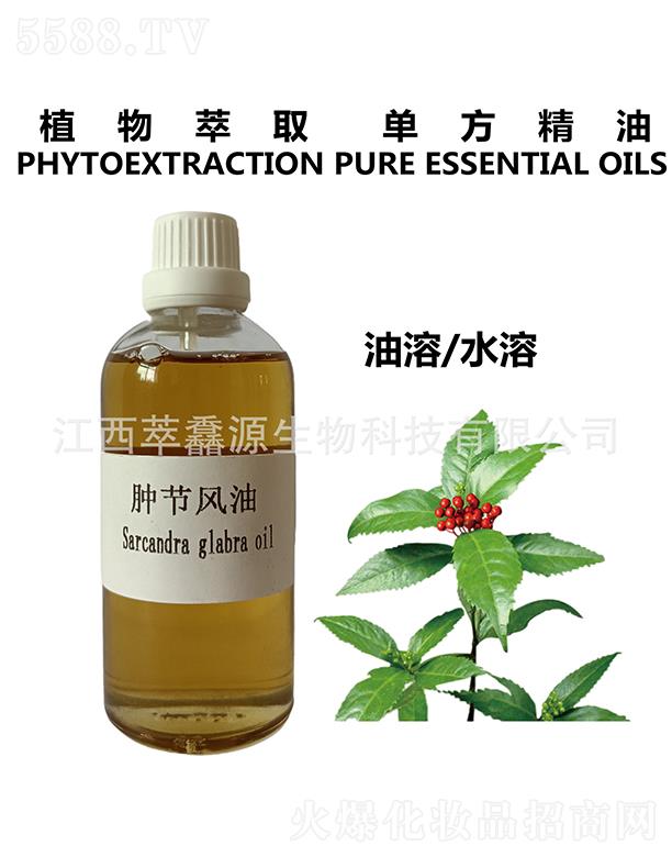 ���QԴ�[��(ji��)�L(f��ng)��