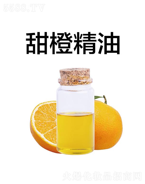 ������Ⱦ���