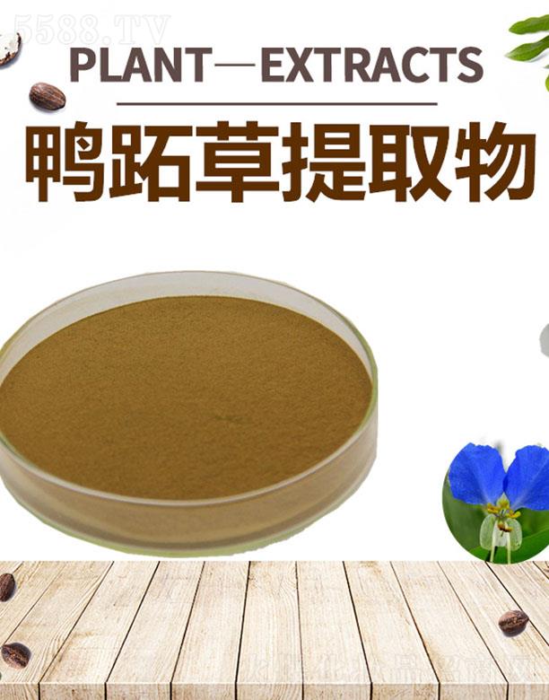 �ĺ����Ų���ȡ��