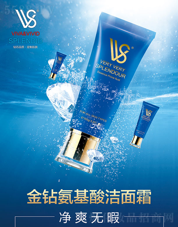 VVS���@�����ᝍ��˪ 100g