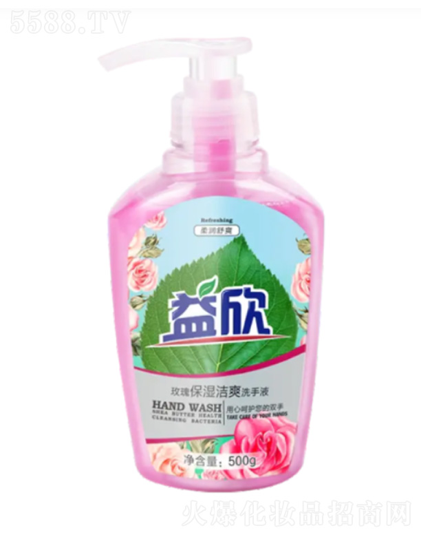 õ�屣��ˬϴ��Һ 500g