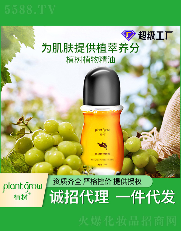 ֲ��Ʒ��ֲ�ﾫ��