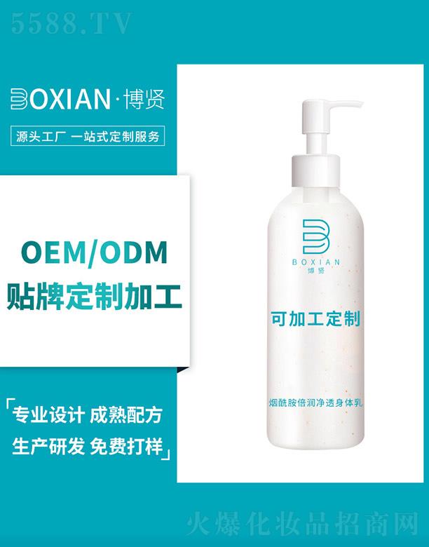 ���t������������͸���w��