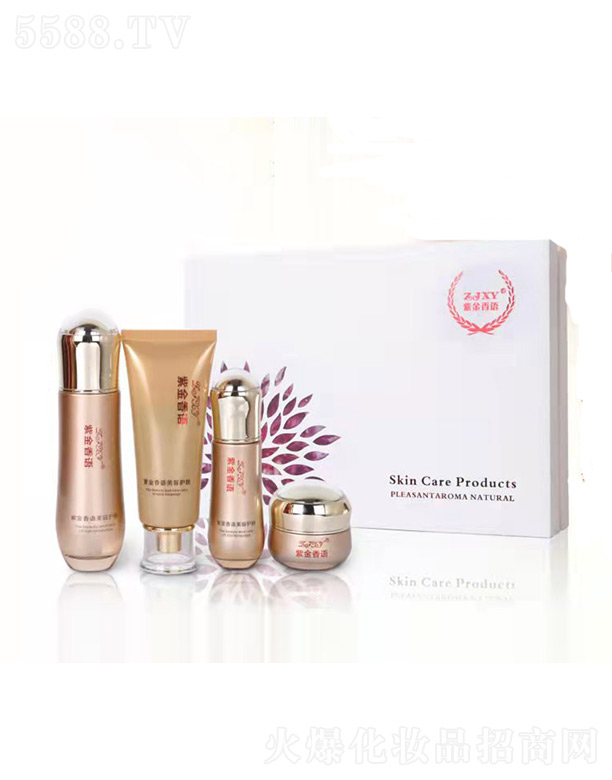 �Ͻ����Z������ޏ���