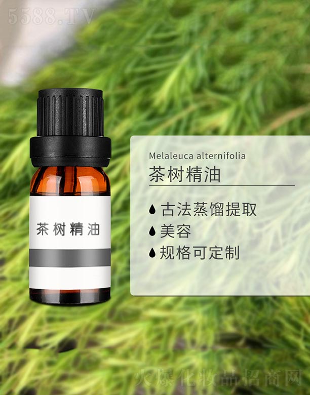 ���(sh��)����