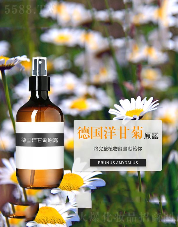 ����ʾ�ԭ¶