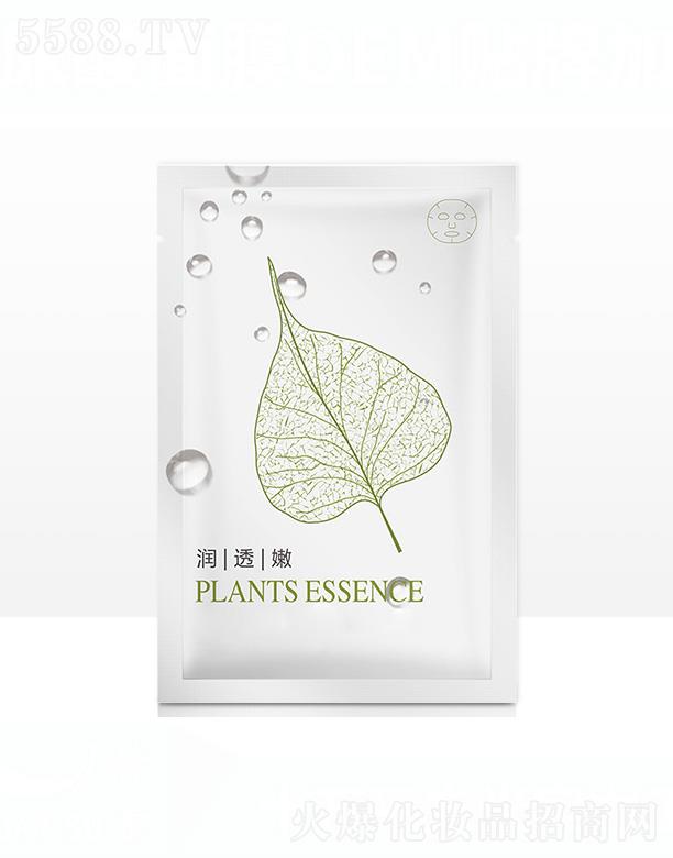 ��������ĤOEM�N�Ƽӹ�