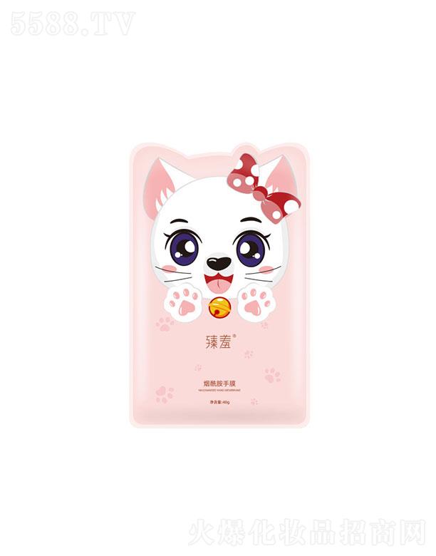 �V���������   ���ߟ��������w؈צ��Ĥ   �̝�(r��n)ȥ���|(zh��)