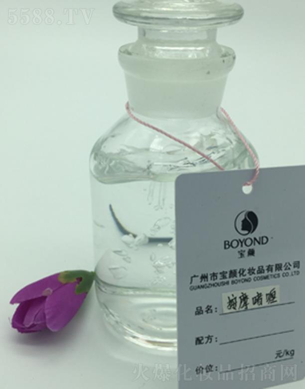 �V�݌��Ħ���