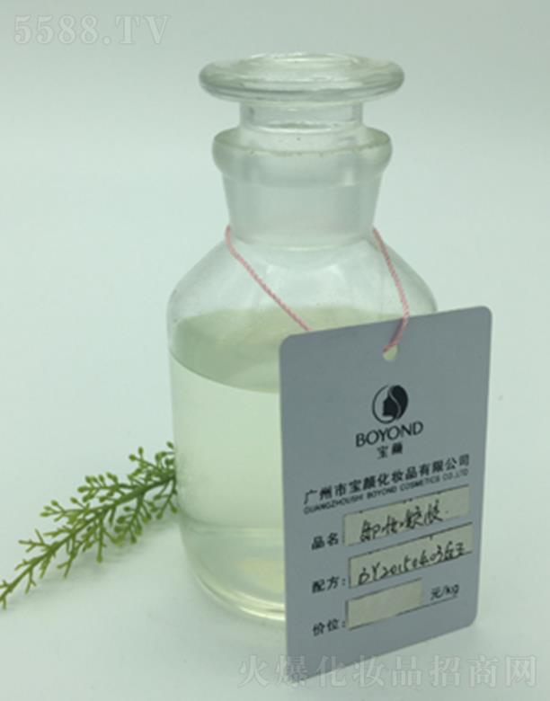 �V�݌��ж�y���z