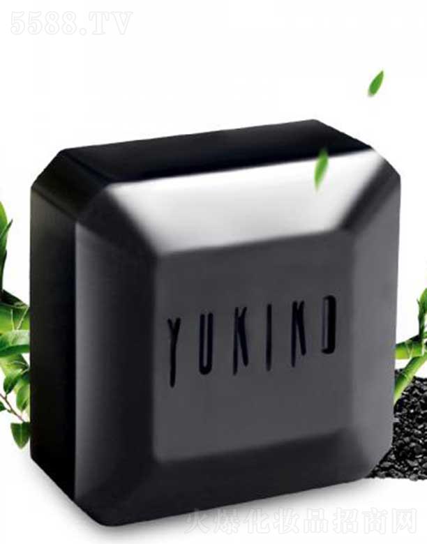 ѩ����ʿ�๦�����������ͣ�