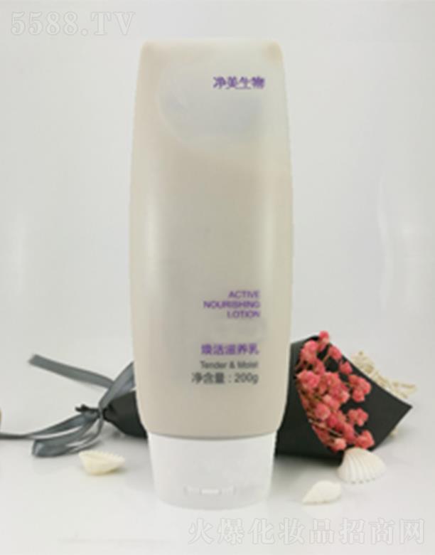 ������������B(y��ng)�� ��͸������������