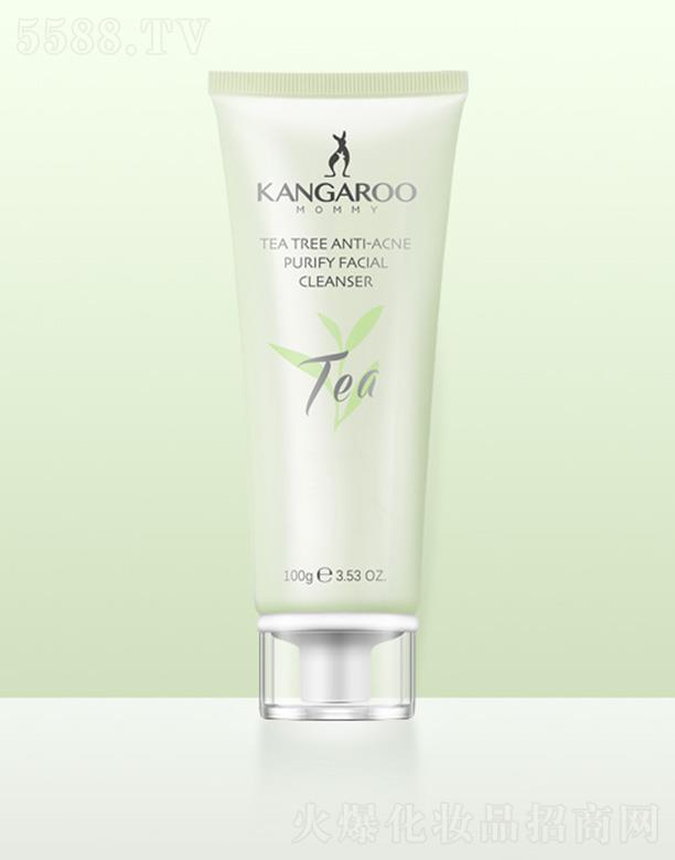 ���󋌋����(sh��)����嶻������ 100g�غ͝�����Ȼ���m��ĭ�׼�(x��)