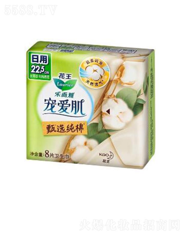 �����Ō��ۼ����x���޽z����22.5cm��8p��ס������ܛ