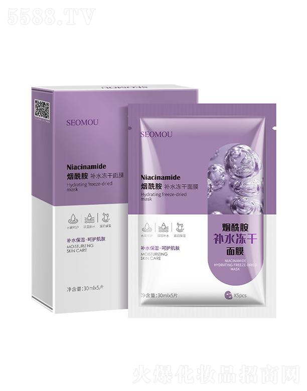 ʩ�˟������aˮ������Ĥ