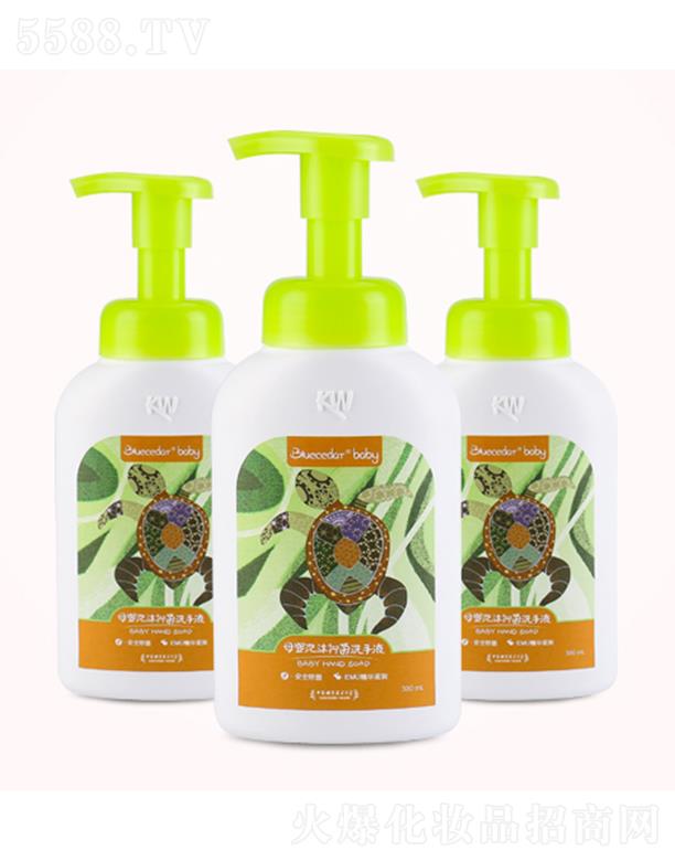 �{ɼĸ����ĭ�־�ϴ��Һ 300mL