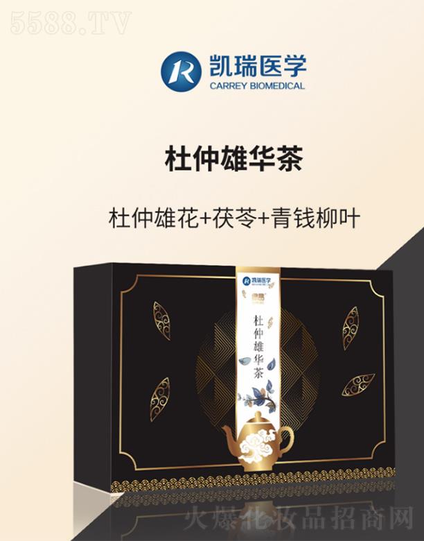 �P���t(y��)�W(xu��)�G���������A��