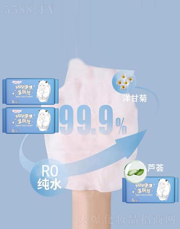 ���c����MINI��y�����