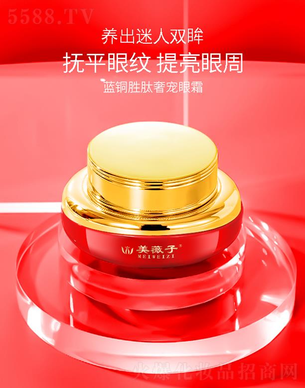 ��ޱ���{�~�����݌���˪