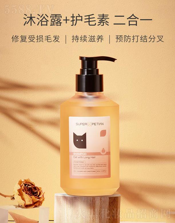 �����ی����㲨���Lë؈��