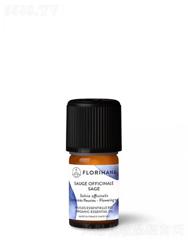 ��β�ݾ���