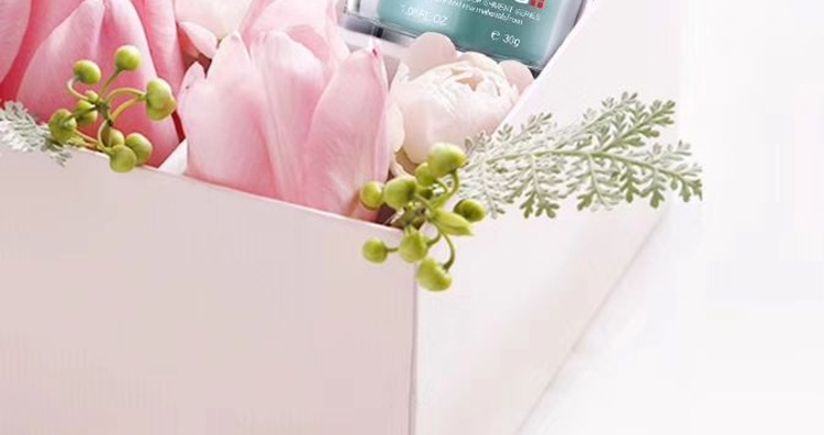 伊洛菲雪絨花修護 伊洛菲雪絨花修護