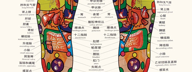 ���B(y��ng)Ԋ���ˎѬ������ԡ����ԡ��