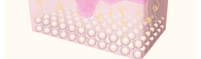 ���{�����x����