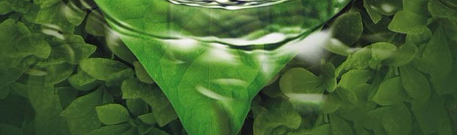 ���}����