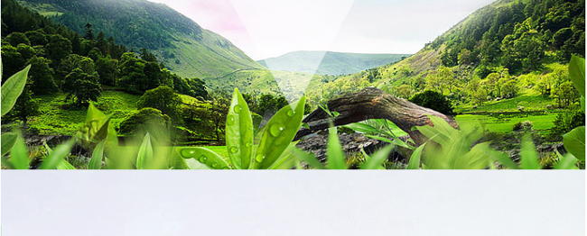 �����_(d��)���ɾ���