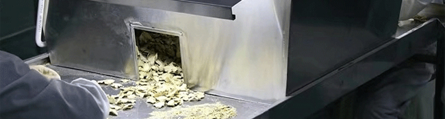 ���������Ͻ�