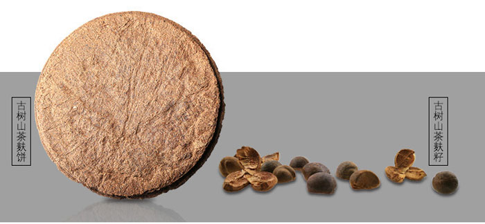 茶氏家族-古樹(shù)山茶麩洗發(fā)乳 茶氏家族-古樹(shù)山茶麩洗發(fā)乳