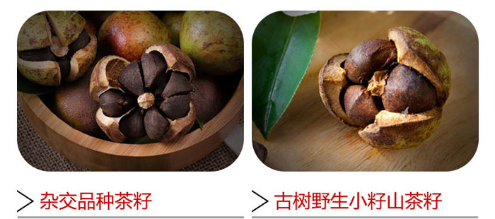 茶氏家族-古樹(shù)山茶麩洗發(fā)乳 茶氏家族-古樹(shù)山茶麩洗發(fā)乳