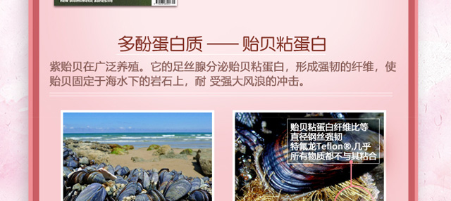 �Oؐճ�����ޏ�(f��)���Foem