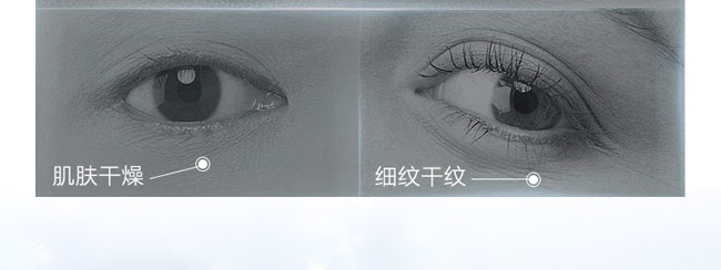 �C��ѩ�w�����ᱣ����˪