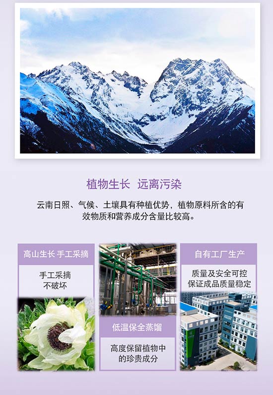 �S�c�ʗ�ѩɏ����͸�������