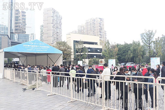 ����ʢ�磬�س��������44�óɶ����I(y��)���[��ʢ���_Ļ