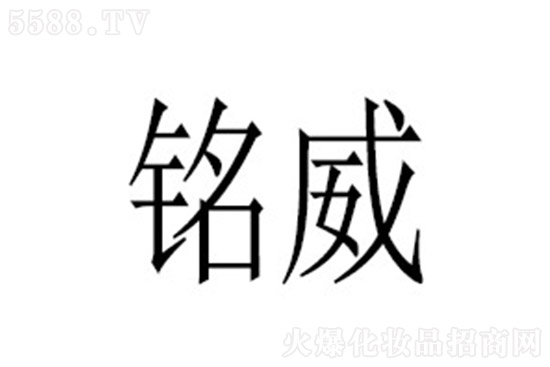 �V���������Ƽ�