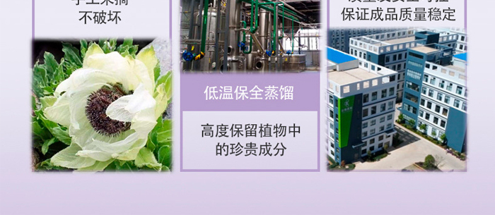 �S�c�ʗ�ѩɏ����͸�������_24