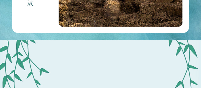 �đ�犻�j(lu��)�׺�