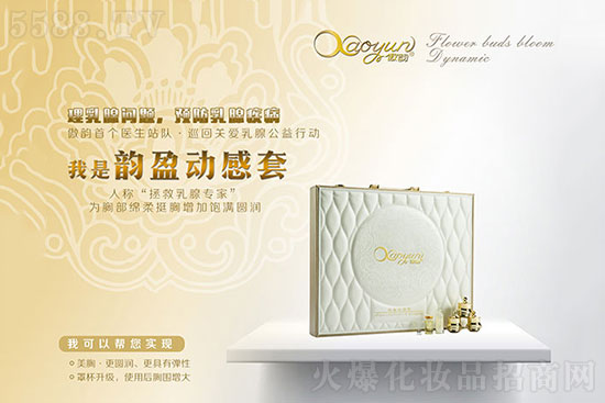 ����ӯ��(d��ng)����