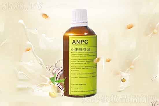 小麥胚芽油 小麥胚芽油