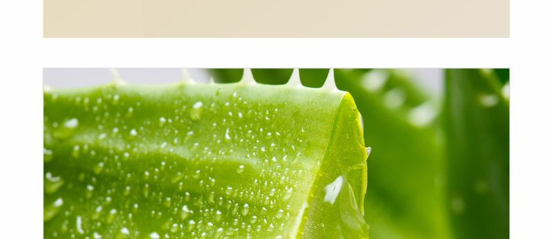 ؐ��ޱԊ(sh��)�������R����Ч�ޏ�(f��)��Ĥ