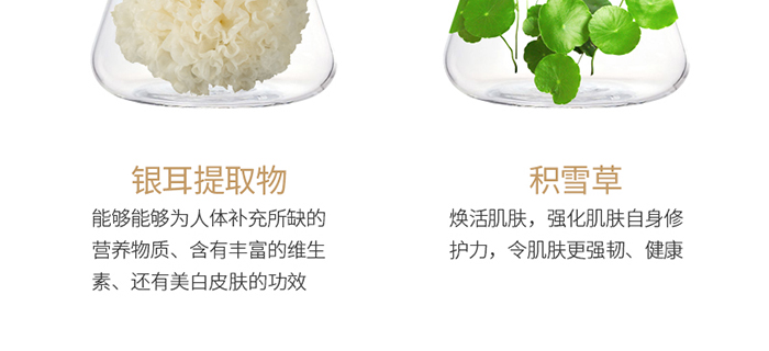 ���ǉ��ɼ���͸�B(y��ng)�o��