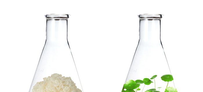 ���ǉ��ɼ���͸�B(y��ng)�o��