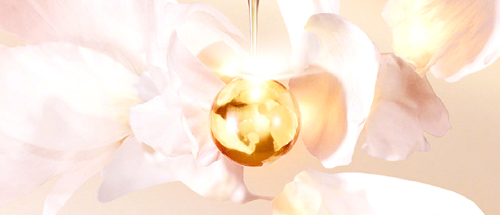 ����ѩ�����w˪